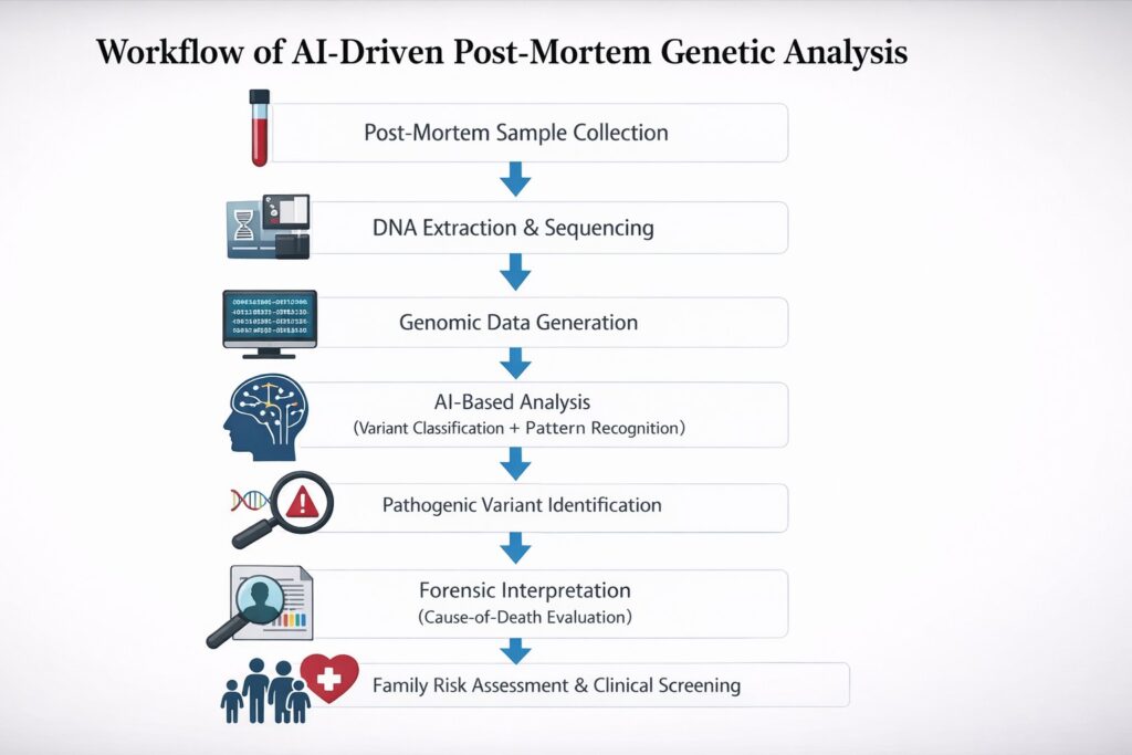 AI in molecular autopsy workflow for forensic genetic analysis of sudden cardiac death